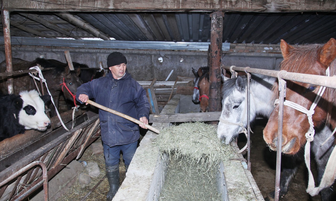 Кооперативтерге тың серпін берген жоба