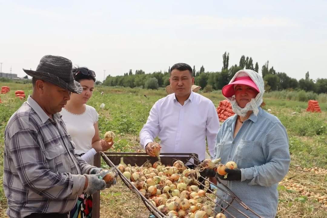 Ауданды алға сүйрейтін жобалар жетерлік