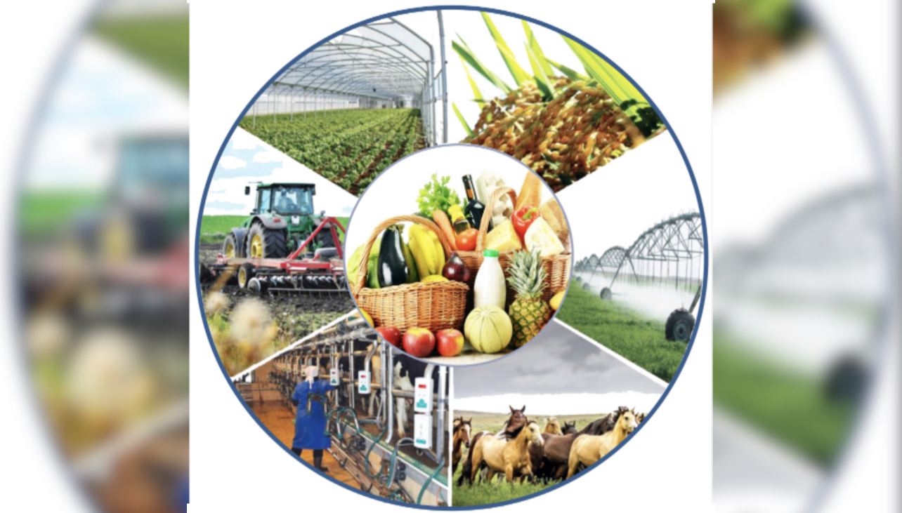 Ауыл шаруашылығы дамыса, азық-түлік мол болады