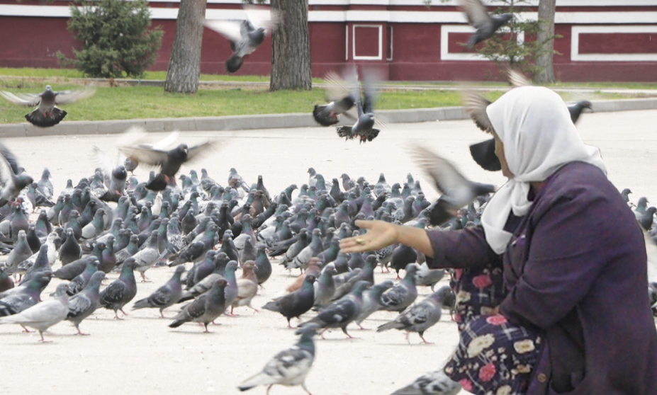 Қымбат бөтелке