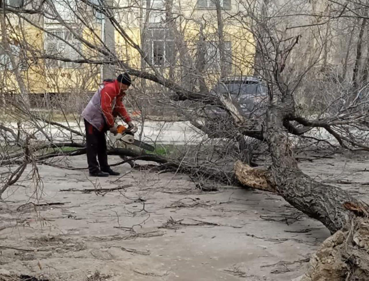 Таразда желдің салдарын жою бойынша тиісті жұмыстар жүруде