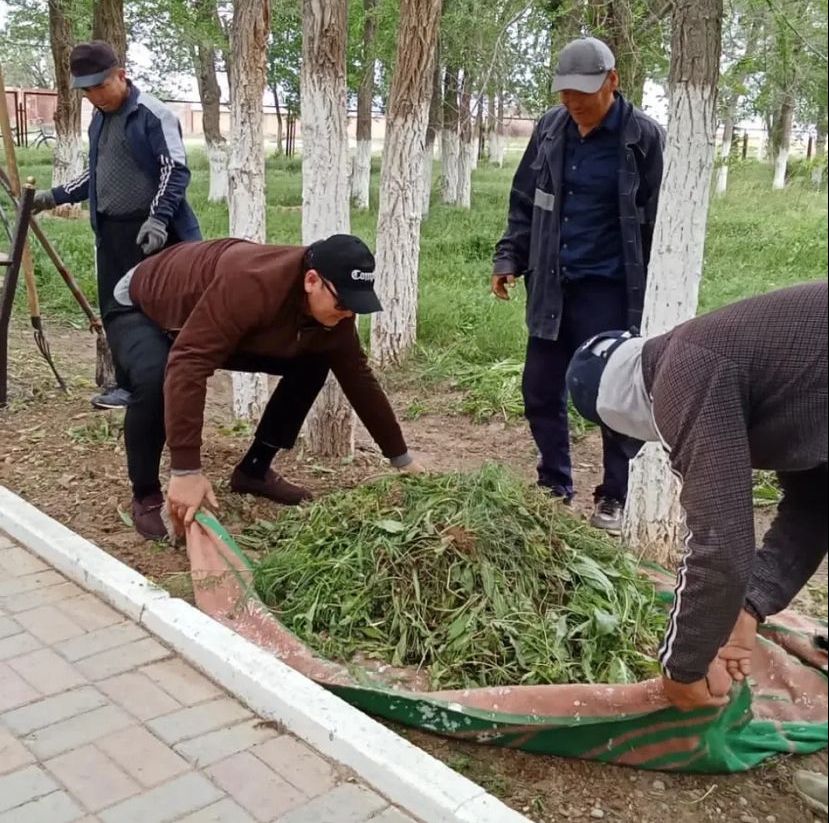 Эко-акцияны қолдауға сарысулықтар да септесті