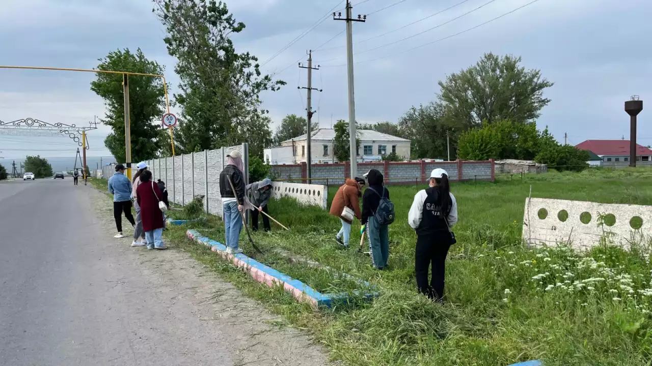 Жамбылдық оқушылар акцияға белсенді үлес қосуда