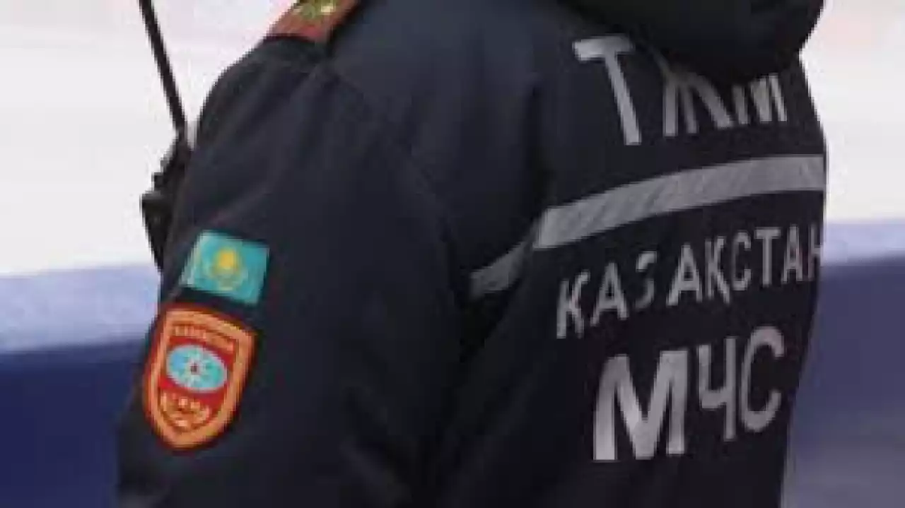 ТЖ қызметі
