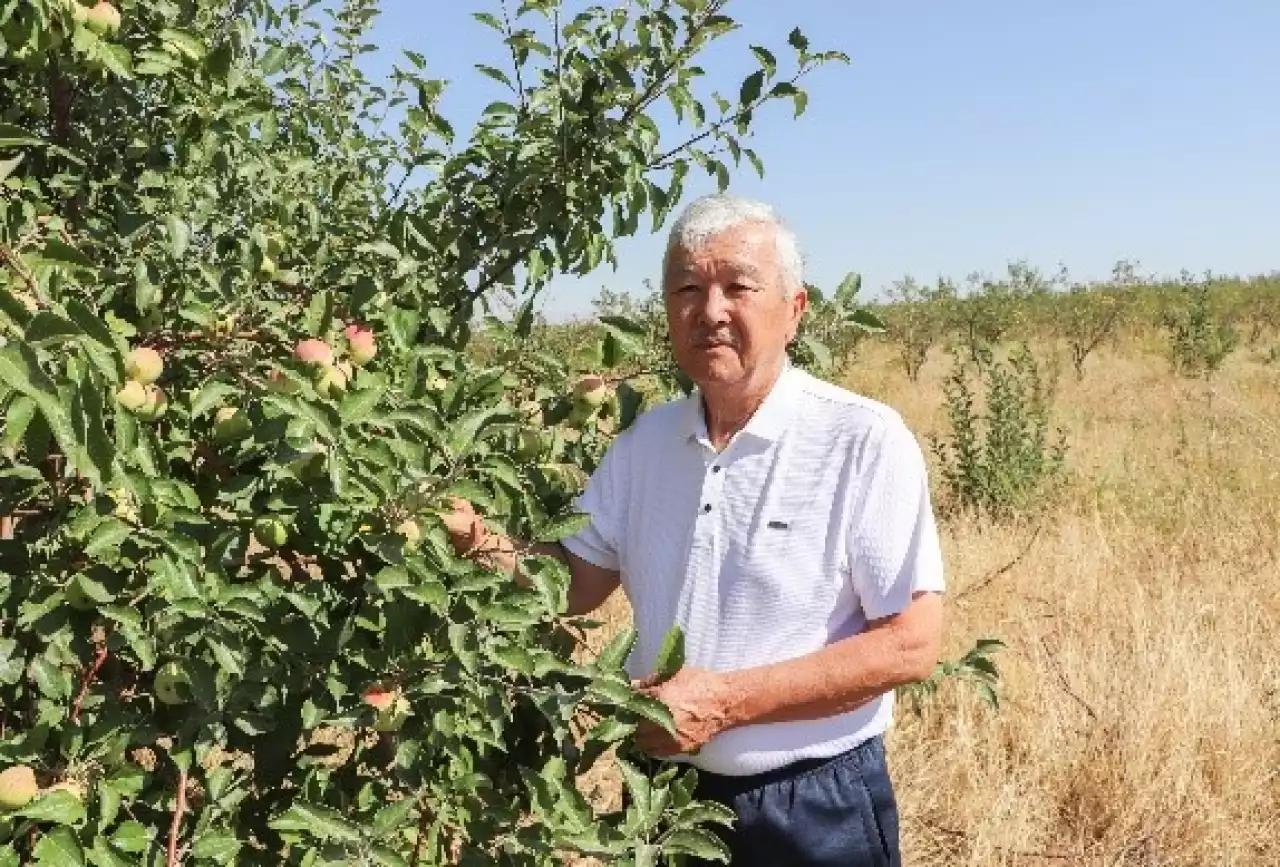 Бизнесін бұзау бағудан бастаған