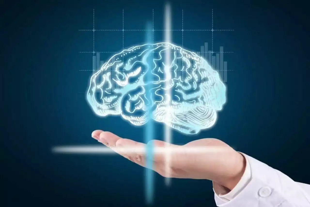 Жасанды интеллект білім бағдарламасына енгізілді