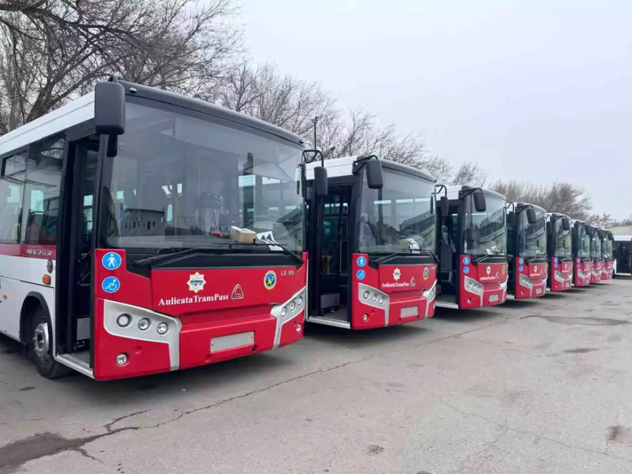 Қоғамдық көлік: саны да сапасы да артып келеді