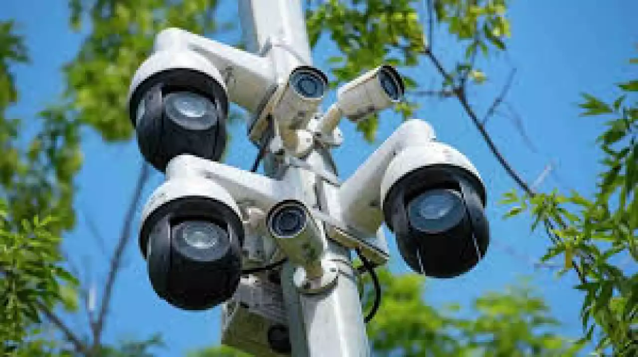 1,3 миллион гектар орман камерамен бақыланады