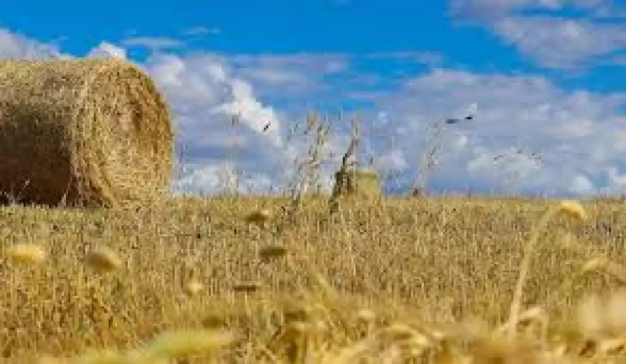 Мырзатай өскен ауылдың мәселесі азайып келеді