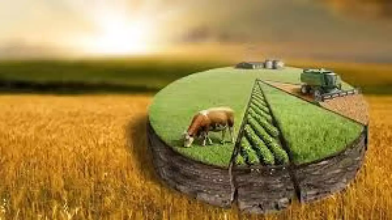 Асыраушы сала - дамудың аса маңызды драйвері