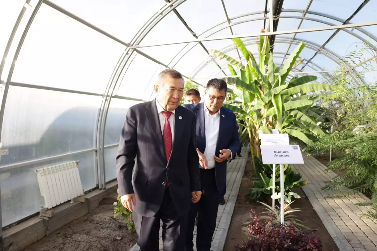 Агросала көкжиегі ғылымда