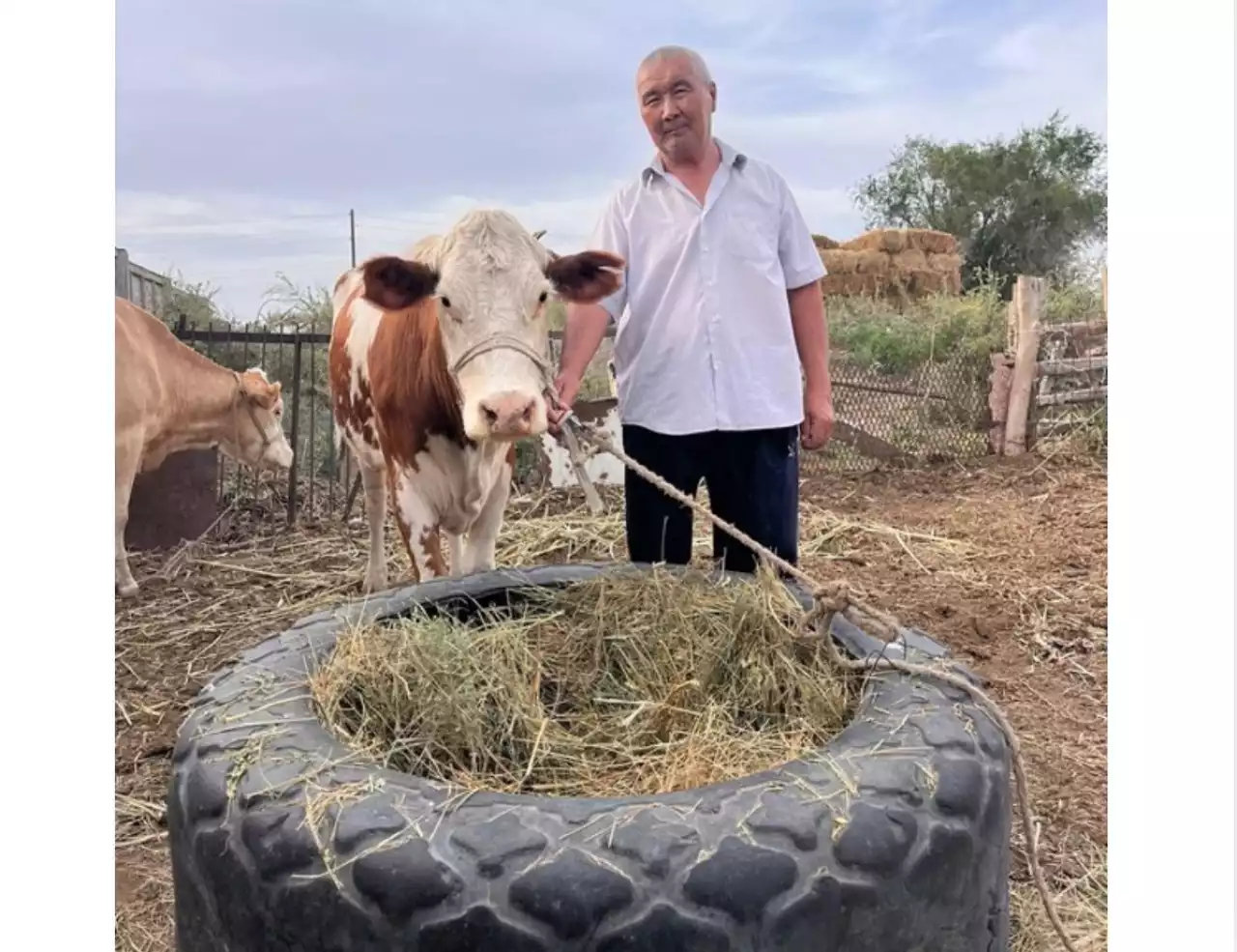 Мал дәрігерінің міндеті ешқашан өзгермейді