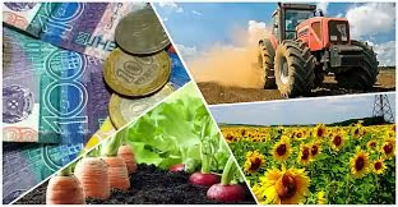 Шаруалар субсидия қаржысын сұрады