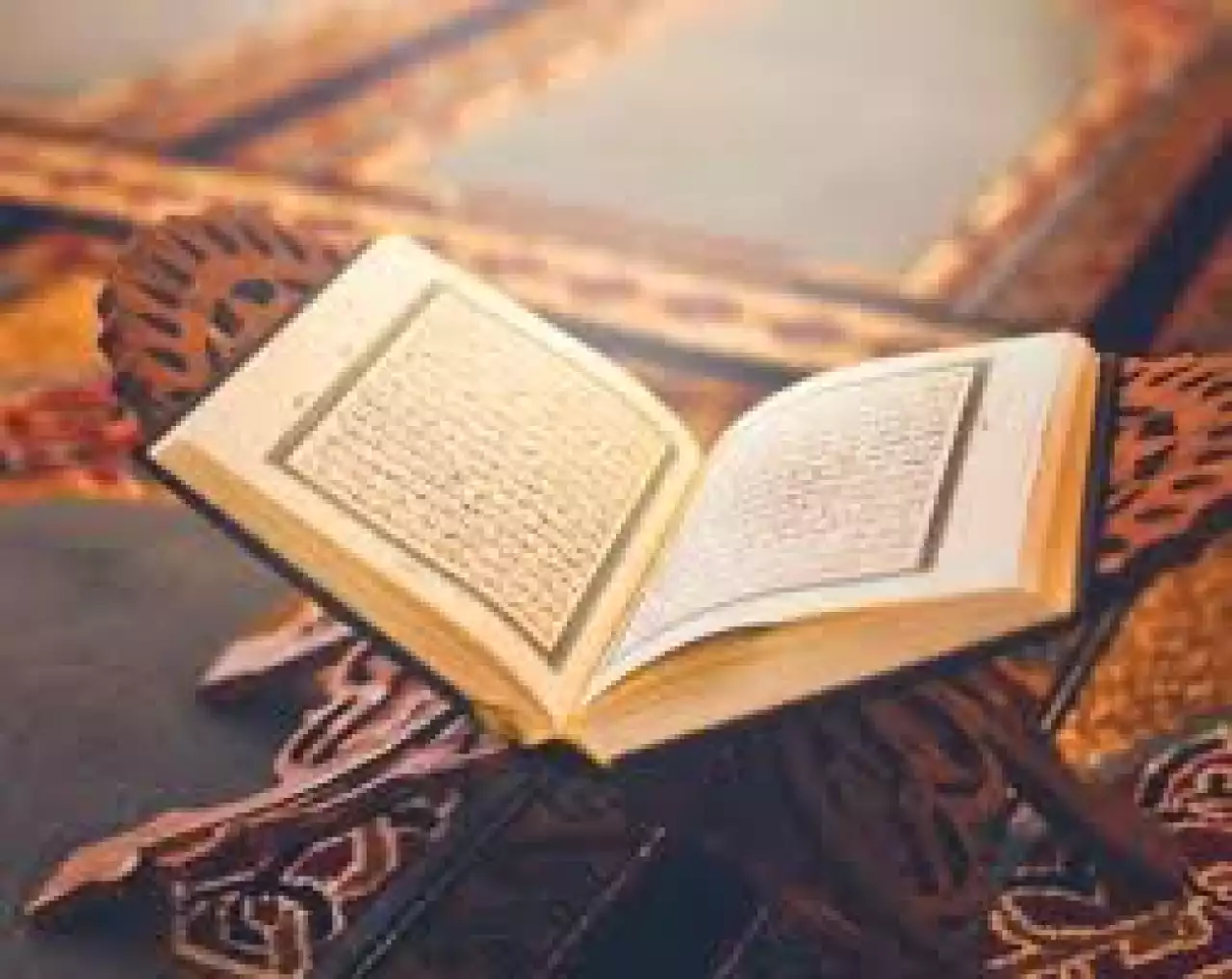 Адасушы топтың жолы жақсылыққа апармайды