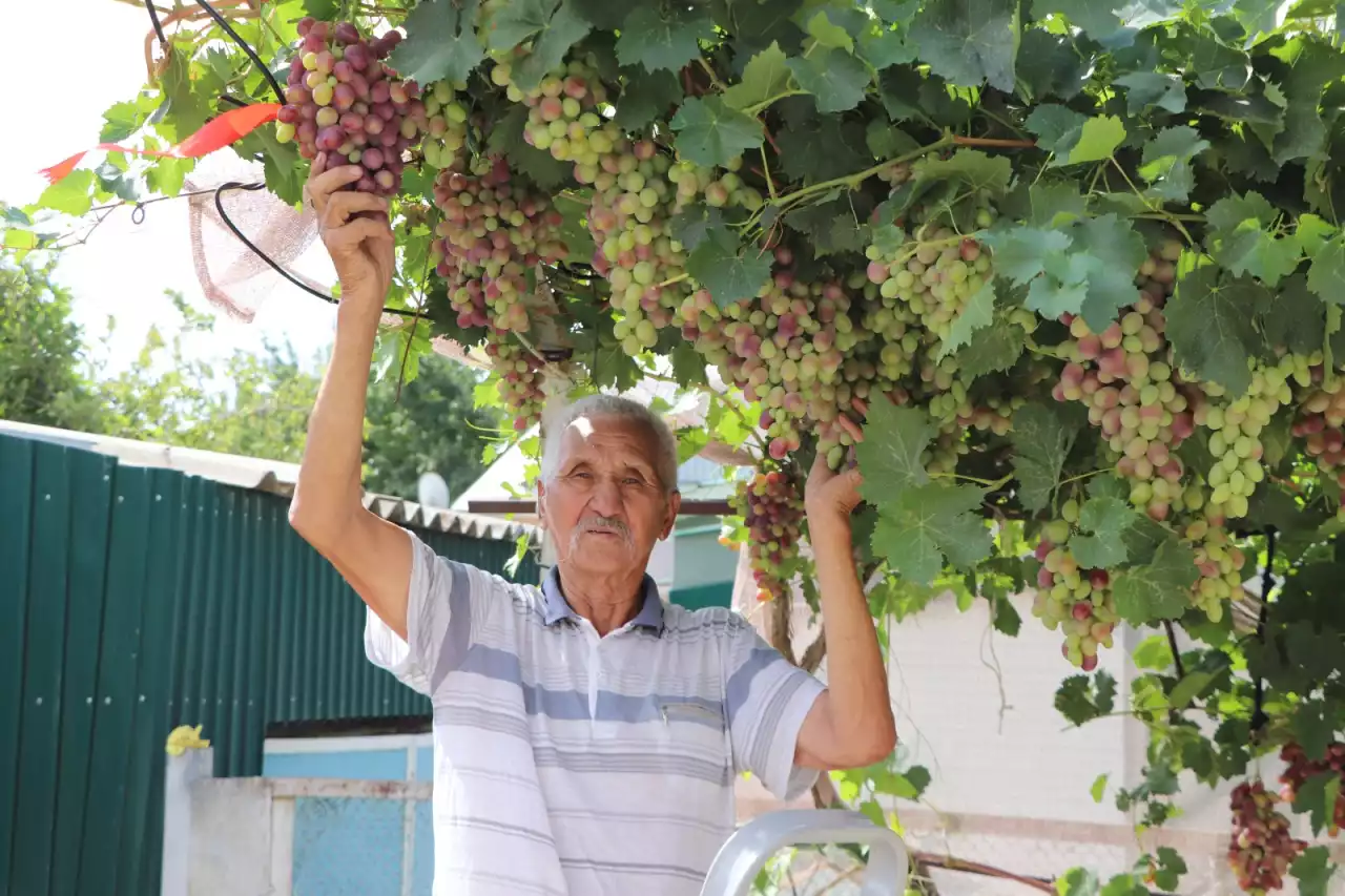 Бағбандығын балаларына үйретіп жүр