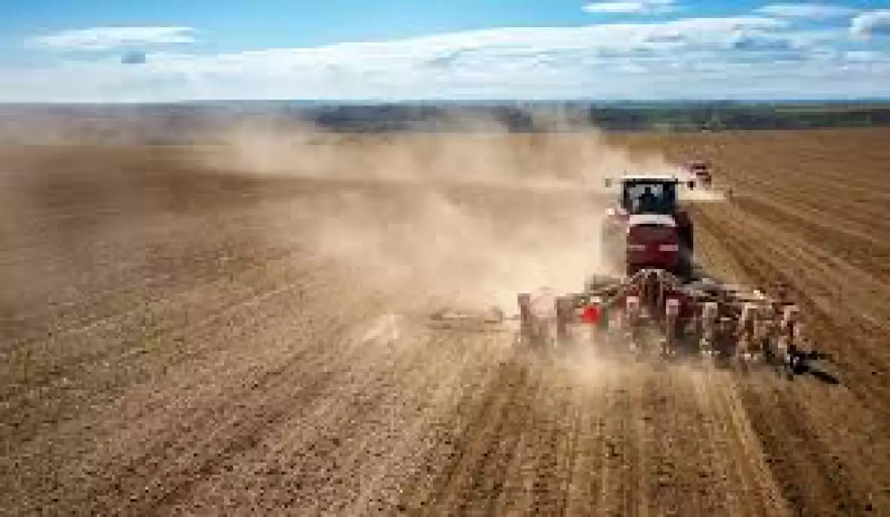 Егін жинау жұмыстарының 94,5 пайызы аяқталды