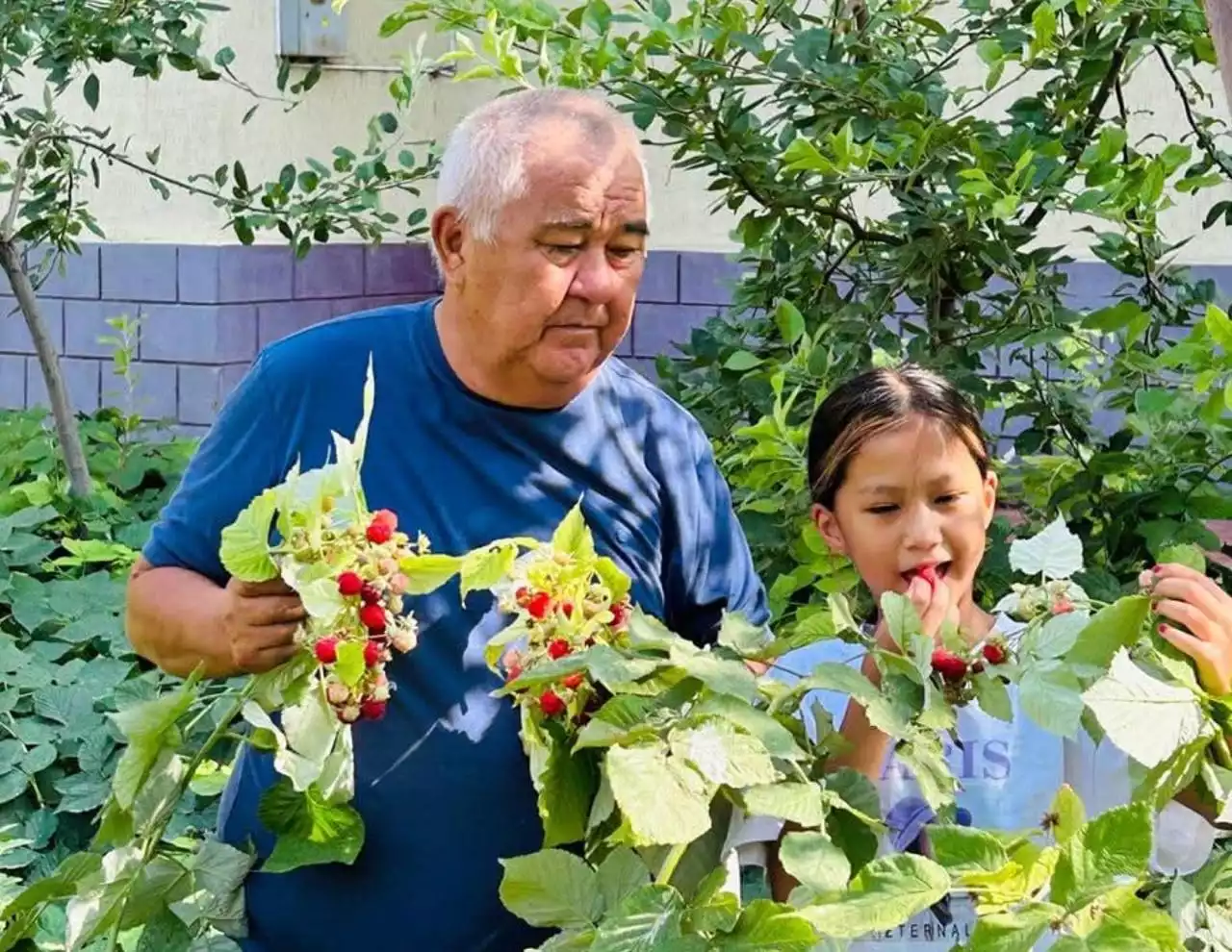 «Нағыз шаруа адам бір жылмен ғана өмір сүрмеуі тиіс»