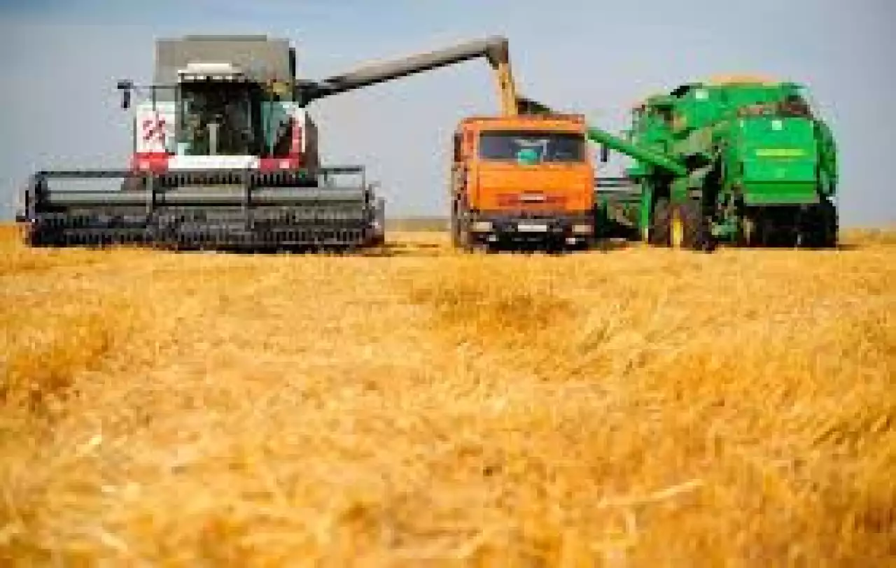 Бұршақты дақылдардан 1 миллион тонна өнім жиналды