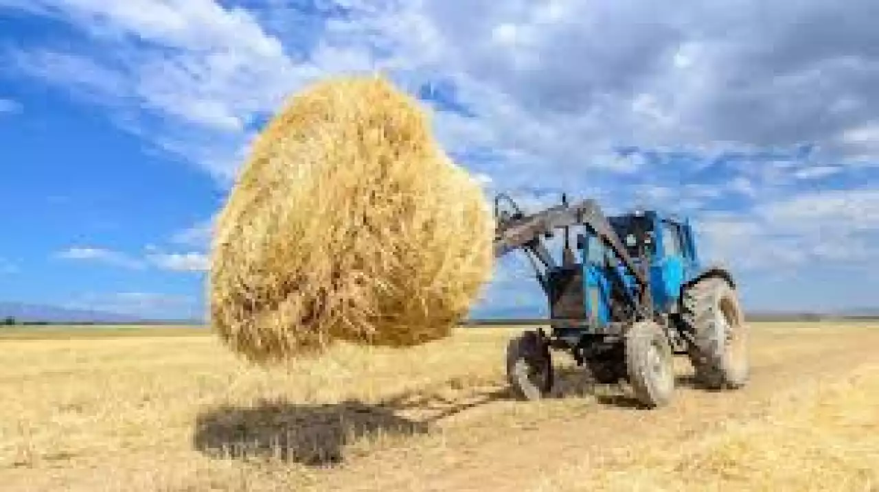 Мал қыстатуға дайындығымыз қандай?