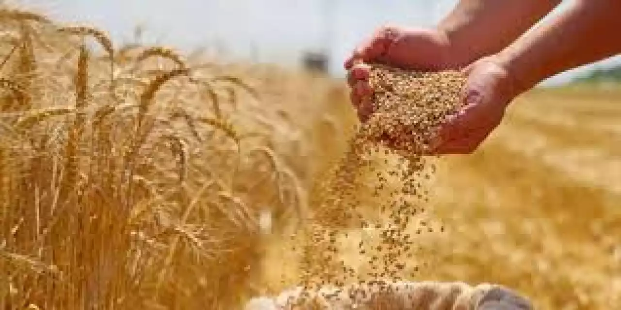 Жамбыл - «Аграрлы Қазақстан» жобасының үздік үштігінде