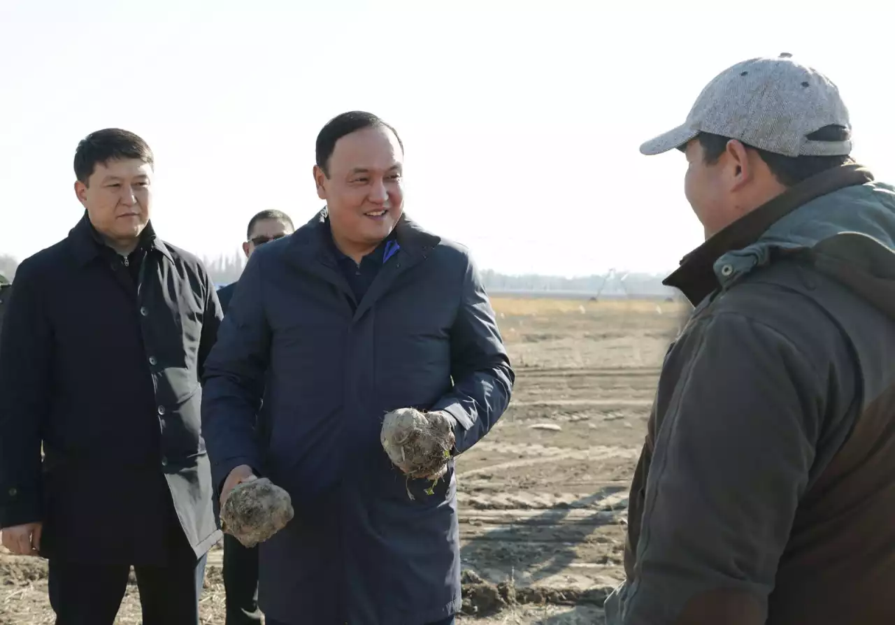 Қант зауыты 101,1 мың тонна өнім қабылдады