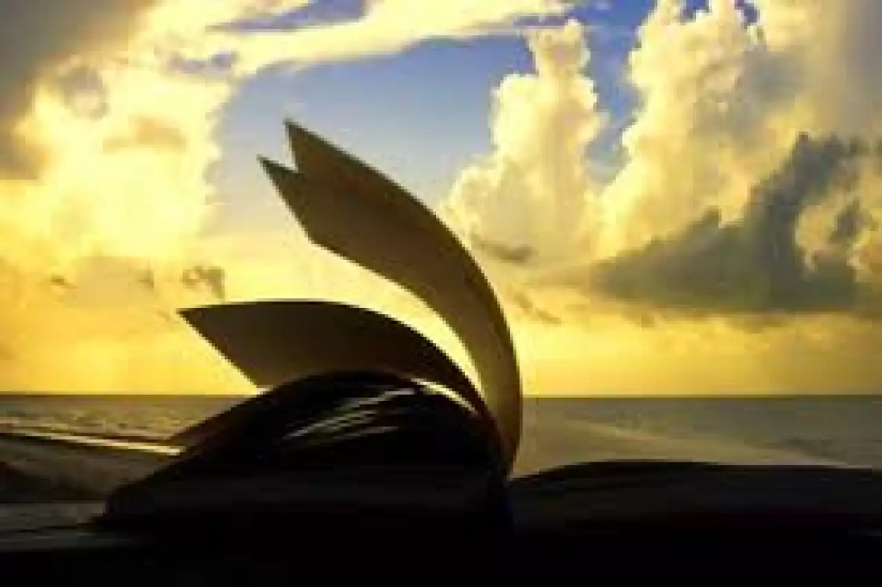 Шағала мұң қайда әкетіп барады?