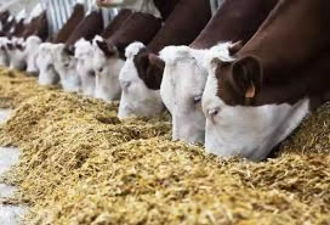 Мемлекет фермерлерге бұрын-соңды болмаған мүмкіндіктер ұсынып отыр