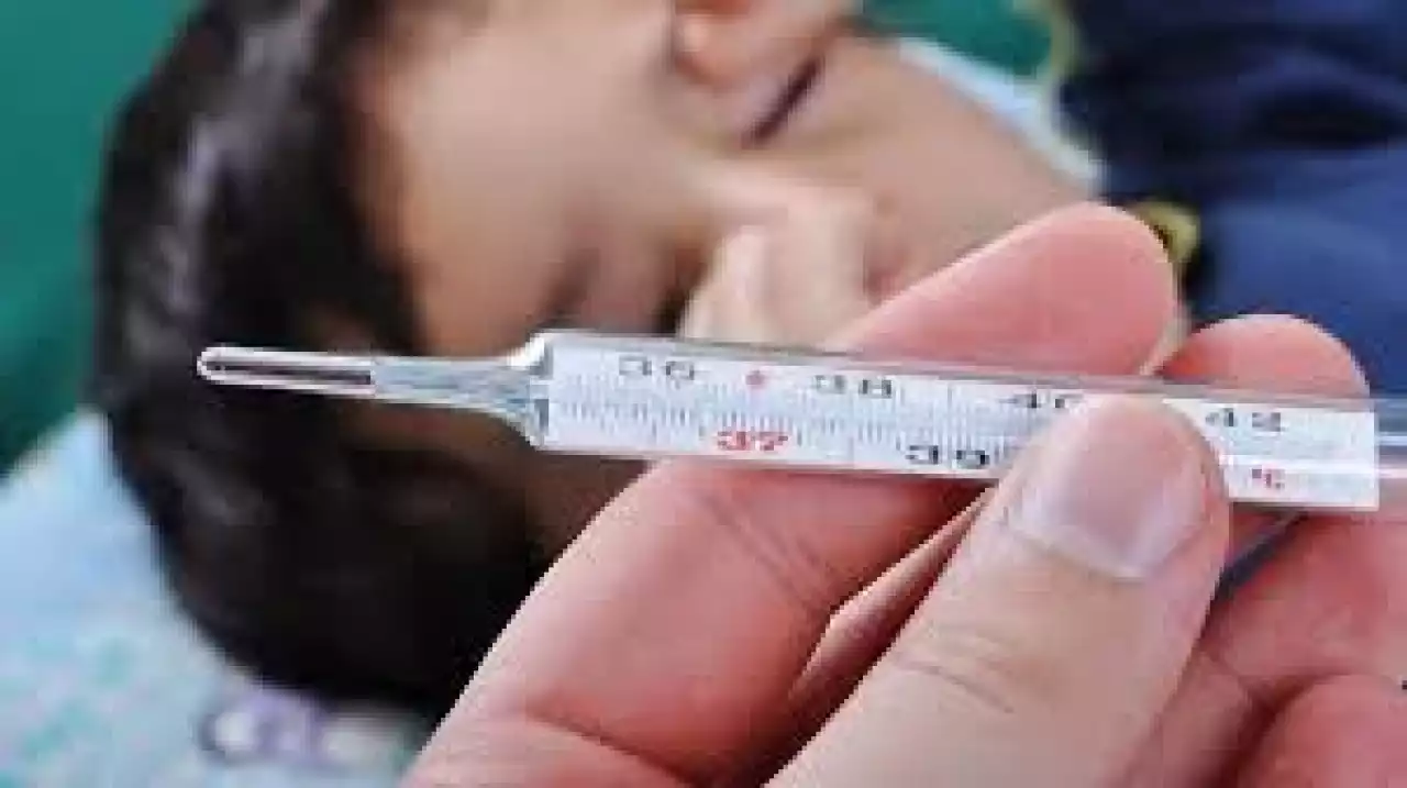 Тұмау өршіп тұр: Мектеп оқушылары онлайн оқи ма?