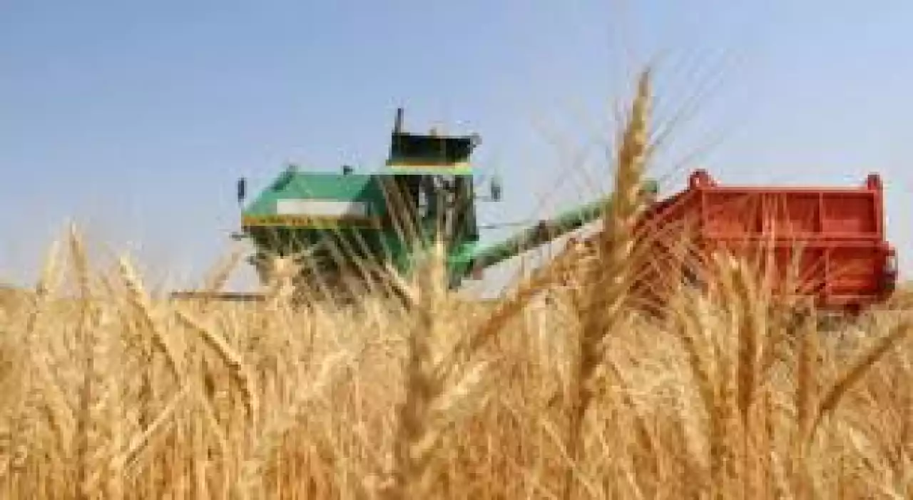 Күз - береке бастауы