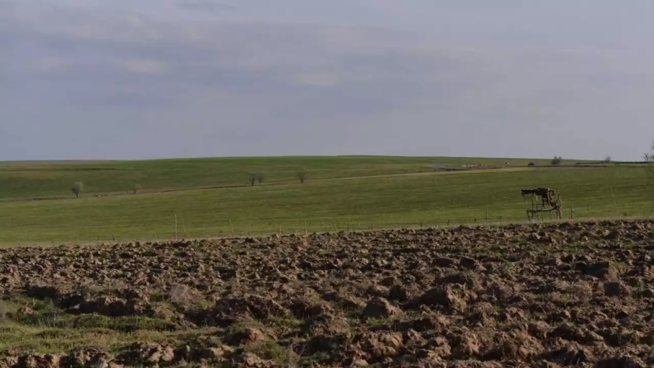 "30 жыл тазаланбаған": Жамбылда жер арықтарына көңіл бөлінуде