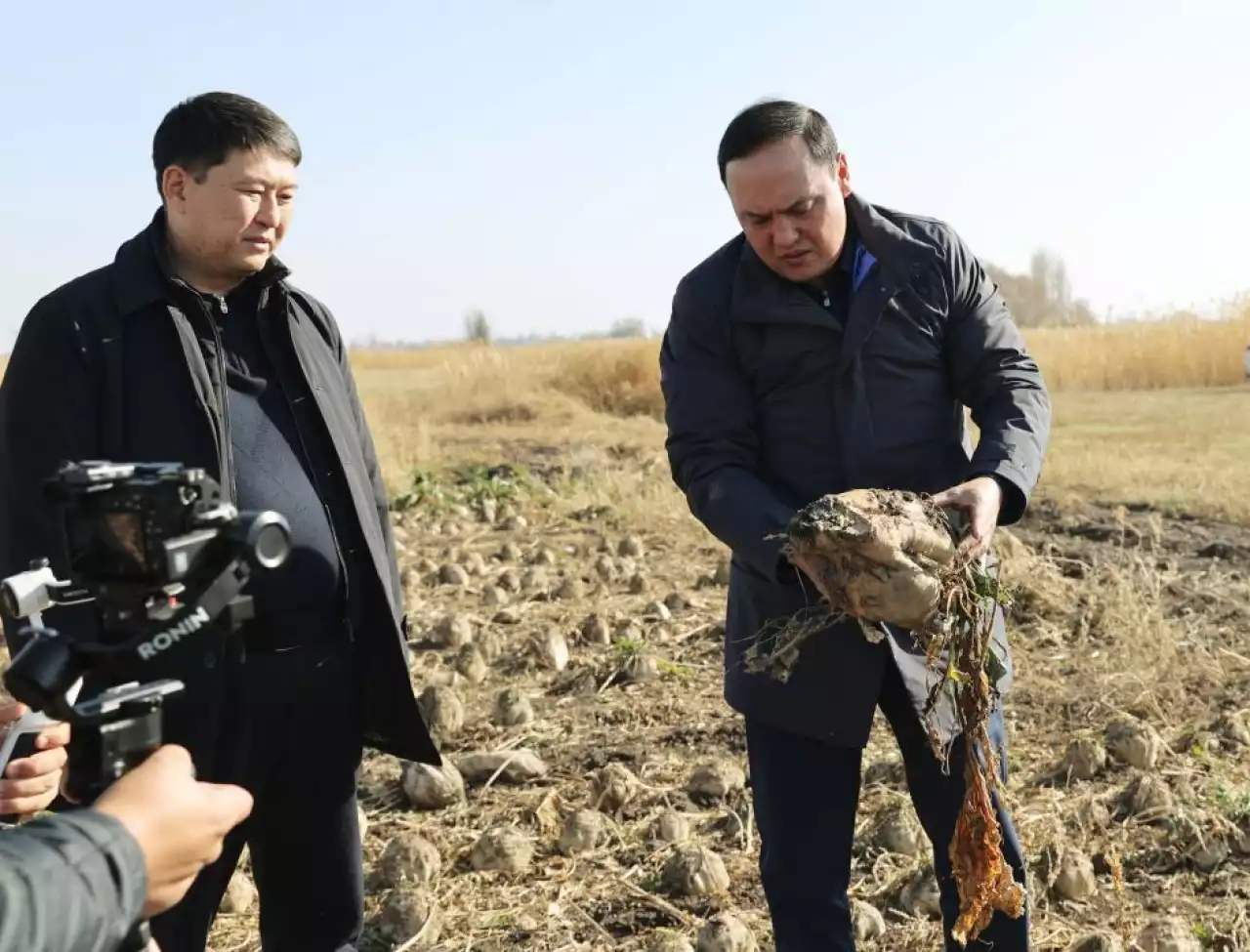 Биыл Қазақстанда ауыл шаруашылығы өнімінің көлемі 9,2 трлн теңгені құрады