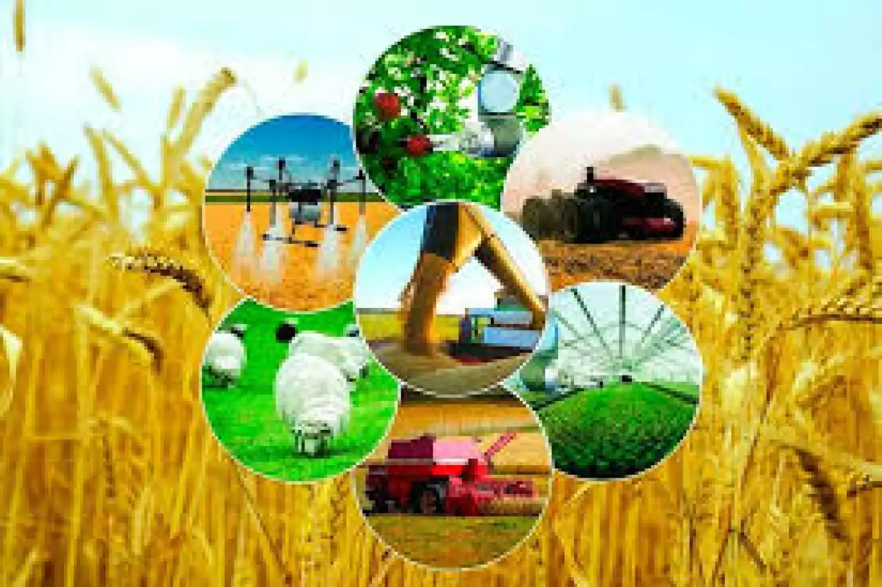 Сапалы тұқым – мол өнімнің кепілі