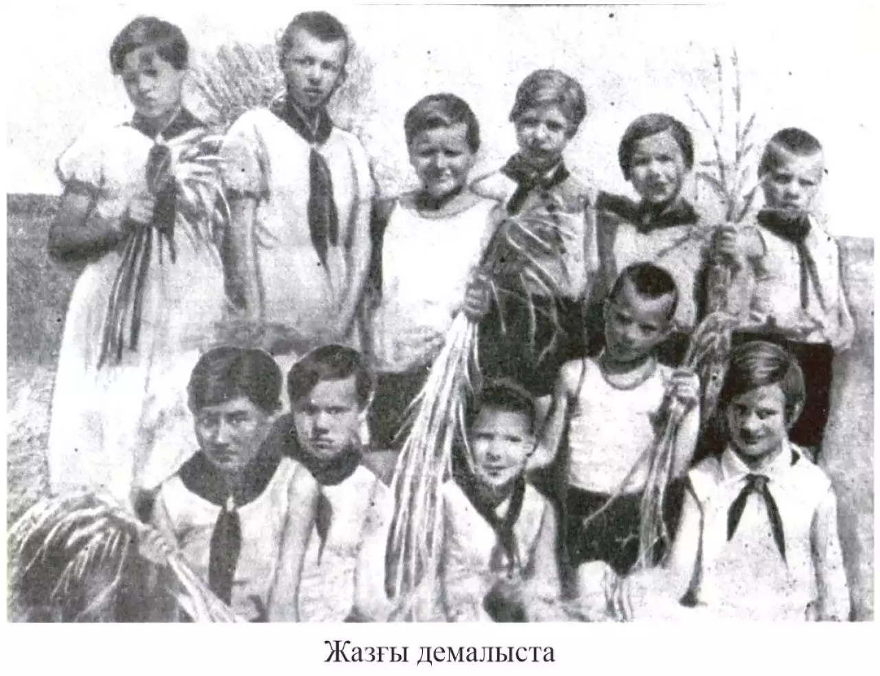 «Мен соғысқа картоп тазалау үшін емес, жауды жоюға келдім...»