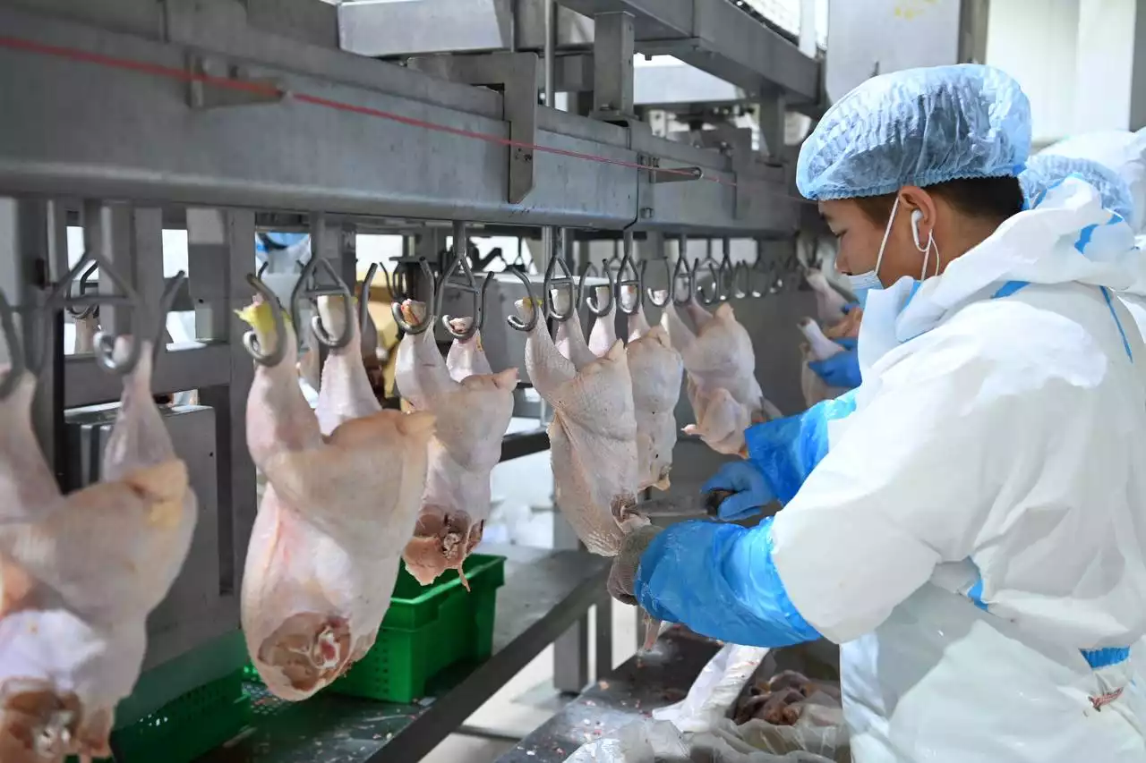 2027 жылға дейін Қазақстанда 5 құс фабрикасы іске қосылады – Айдарбек Сапаров