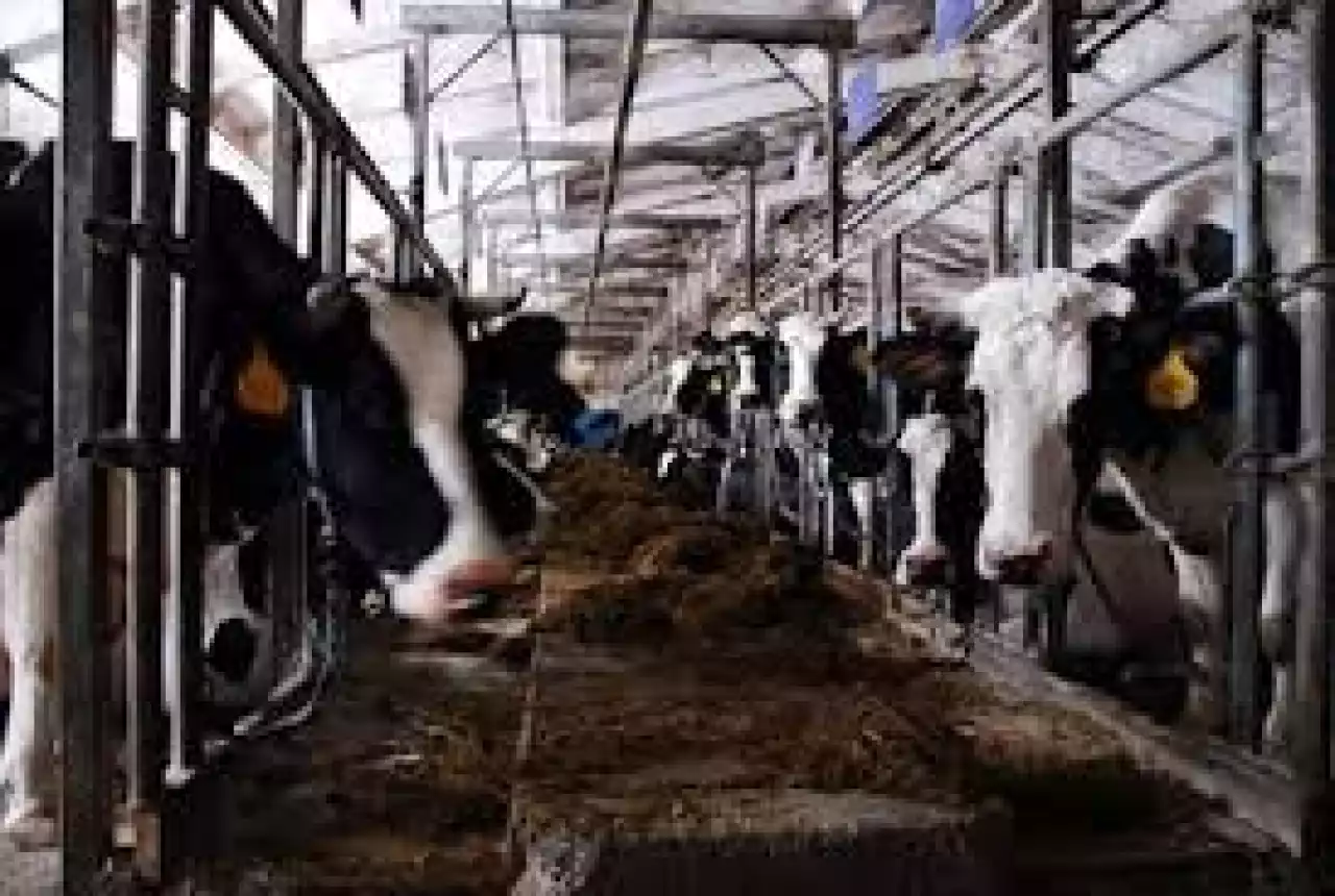 Мал қауіпсіздігі мен заңдылықтың кепілі – бірдейлендіру