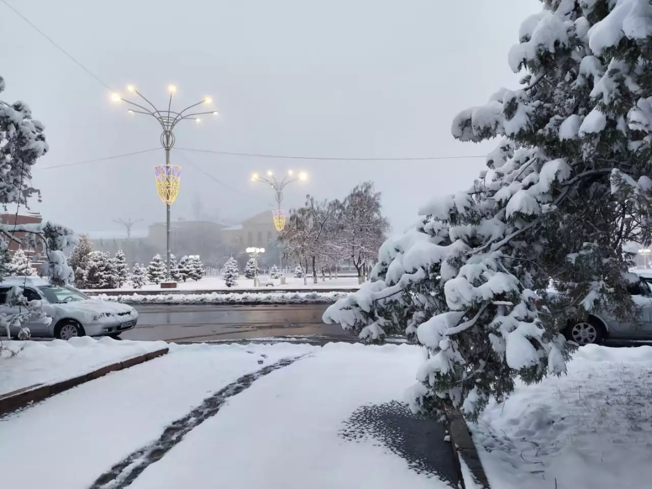 Қазіргі қоғамдағы мемлекеттік тілдің қолданыс аясы қандай?