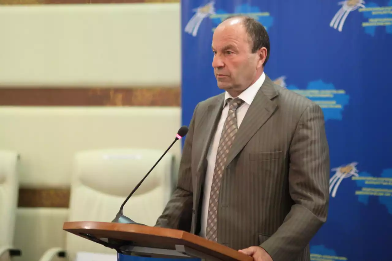 Қазақстан Конституцияны өзгерту арқылы өркениеттік таңдау жасайды – Исидор Борчашвили