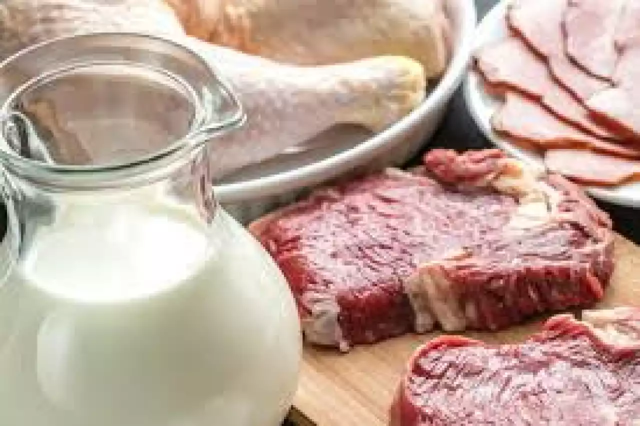 Сүт пен етті көбейтуге күш салып жатыр