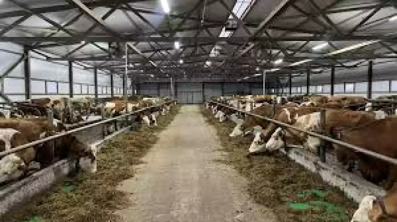 «Ауыл аманаты» салаға серпін берді