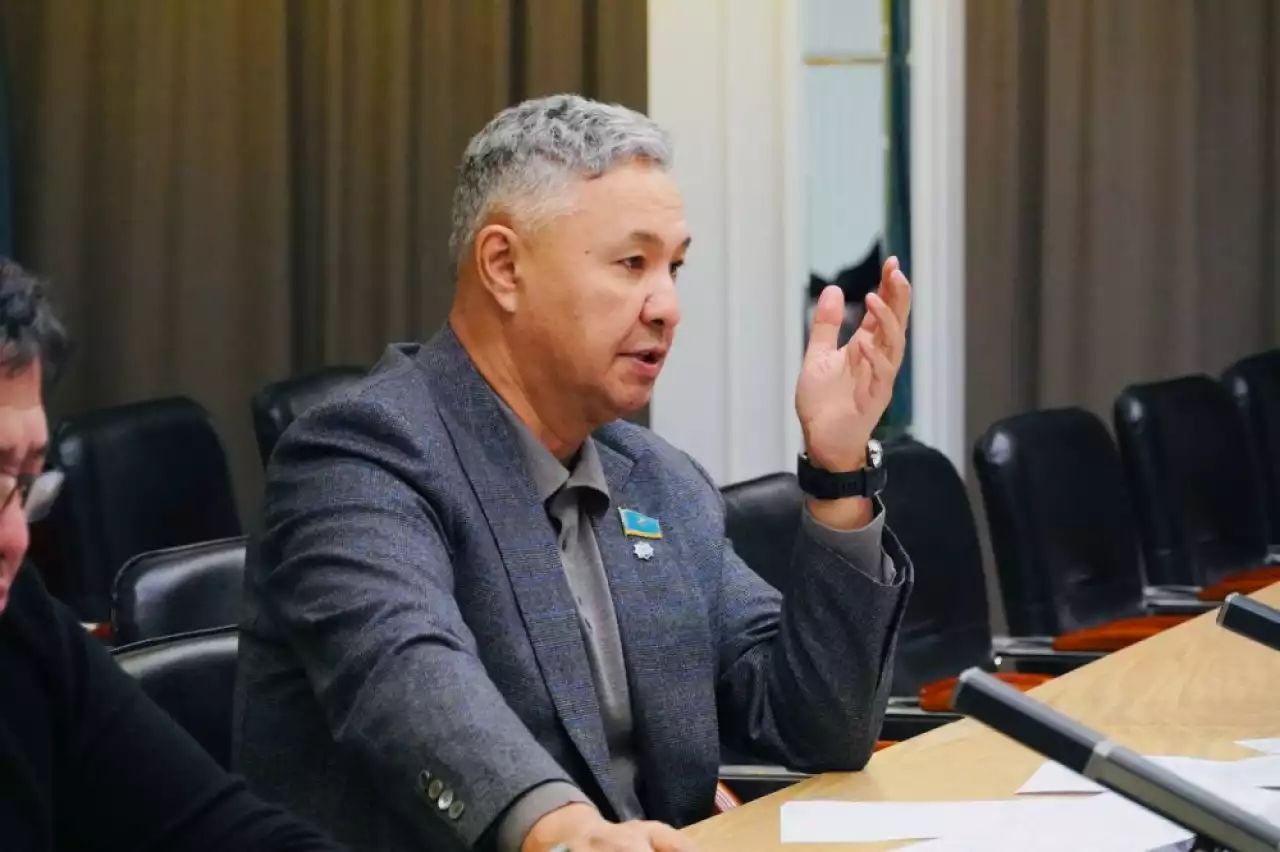 Құжат жоғары ұйымдастырушылық әрі мазмұндық деңгейде әзірленді деп есептейміз – Азат Перуашев