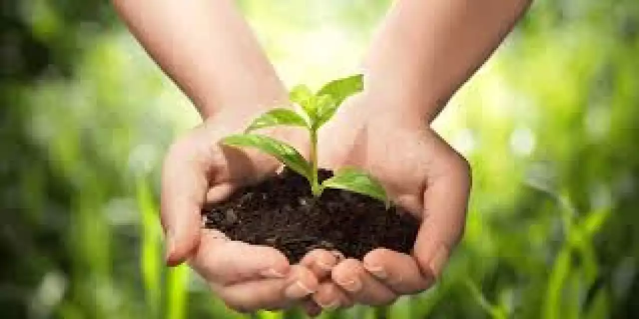 Табиғат байлығын игеру – энергия тиімділігін арттыруға серпін береді