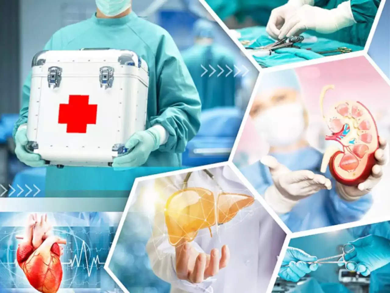 Мәйіттік донор мәселесі: шындығы қайсы, сұмдығы қайсы?