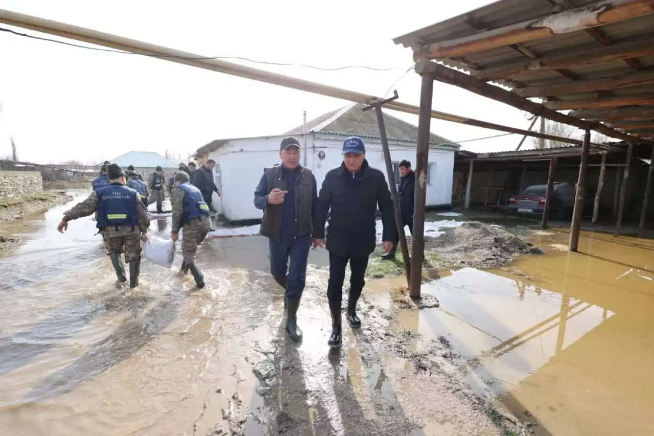 Облыс әкімі қалың қардан су басқан бірнеше жеке тұрғын үй ауласын аралады