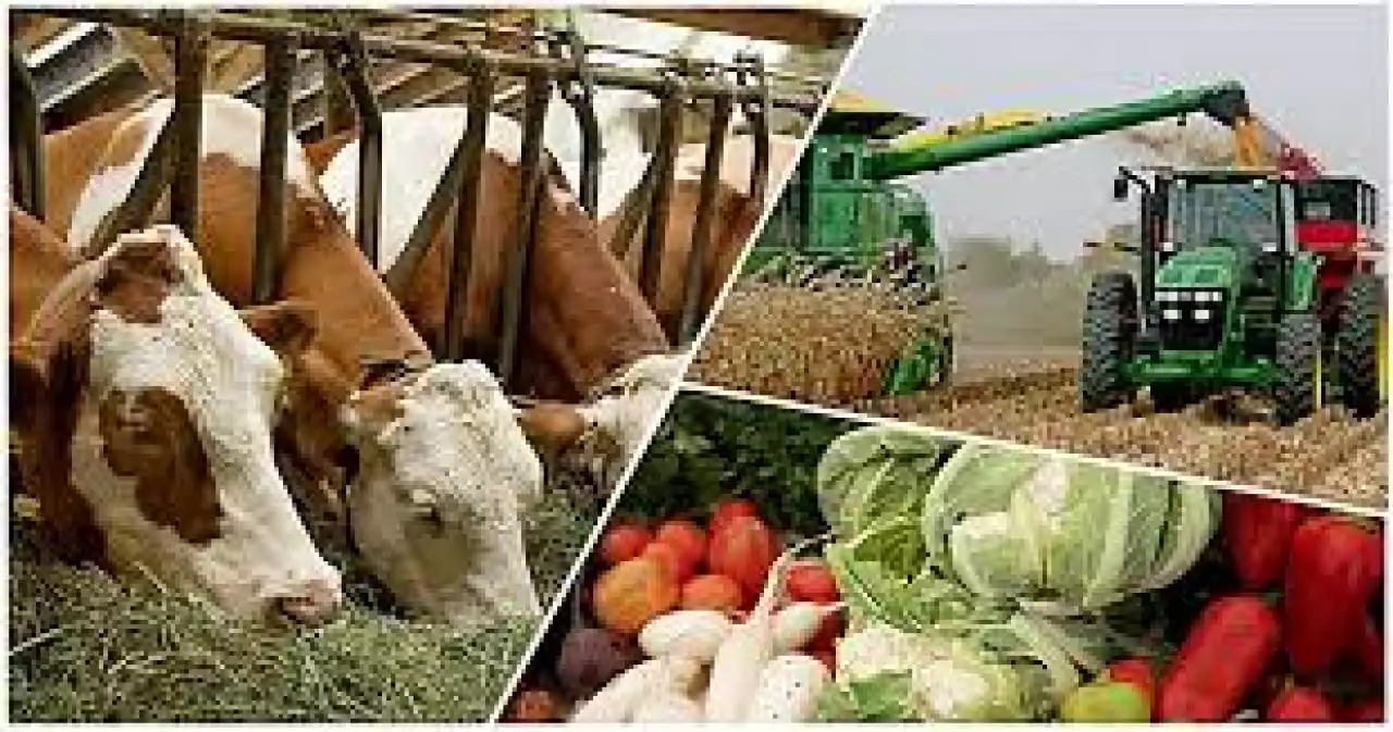 Талай жан осы жобамен жан бағып отыр