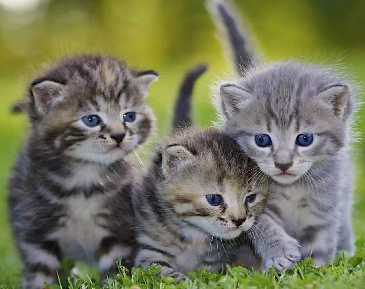 Сүйкіміңді сақта!