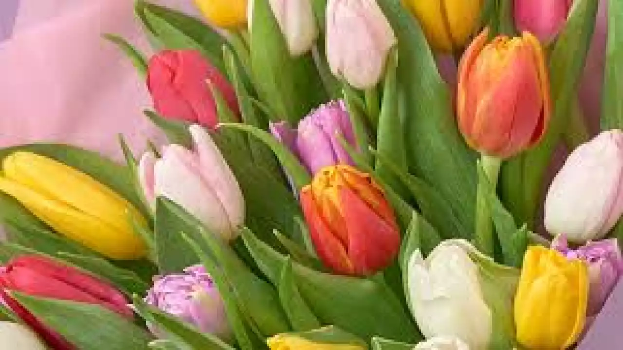 Ұлт рухын асқақтатқан арулар