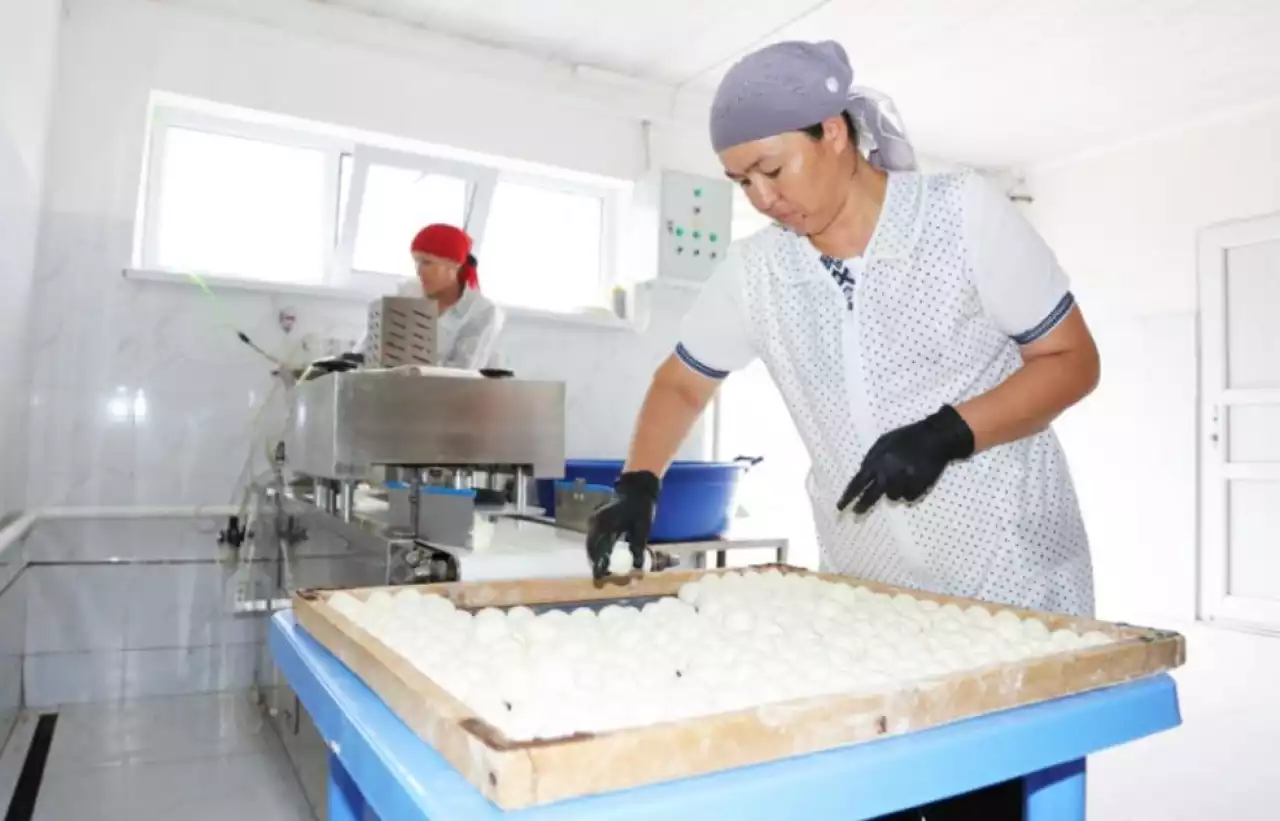 Сүт пен ет өндіруде озық тәжірибе бар