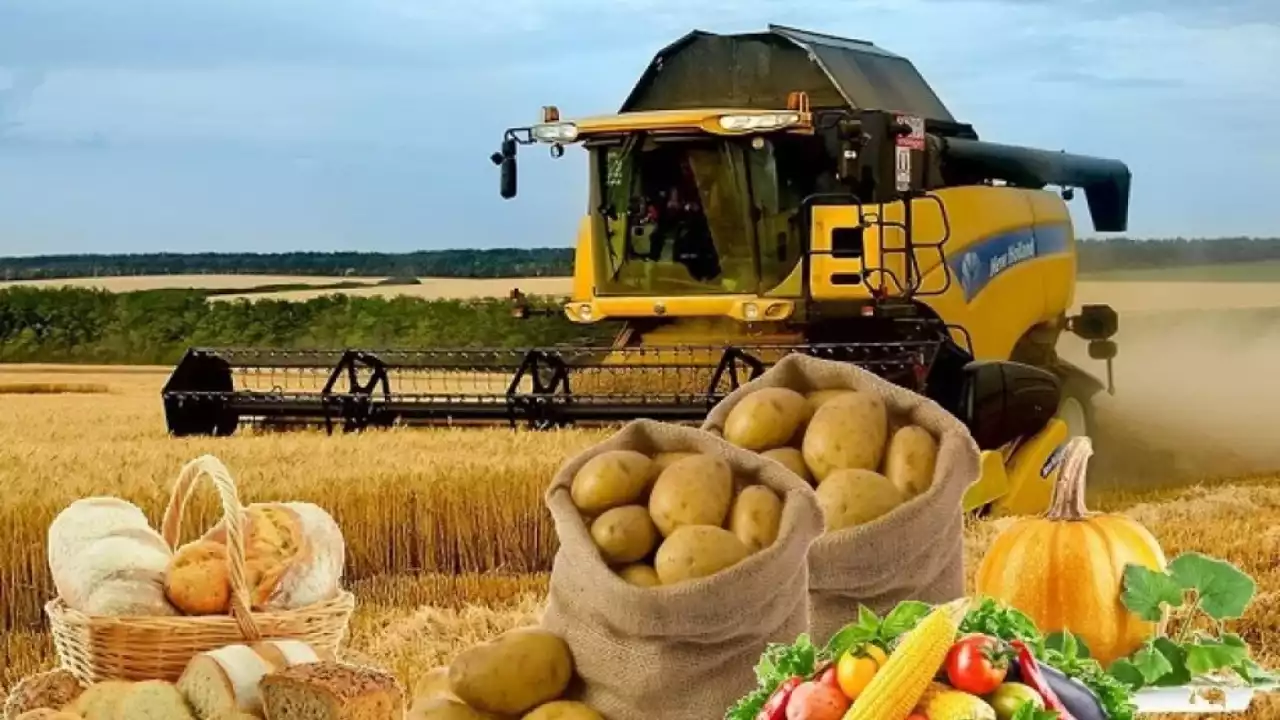 Ауыл шаруашылығы өнімдерінің экспорты 7 миллиард долларға жетті