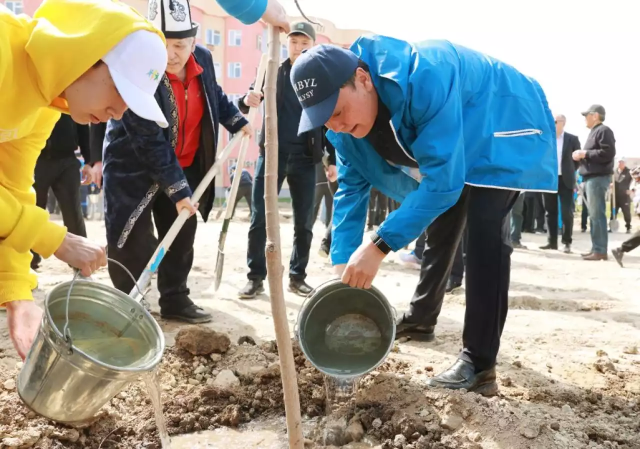 Тараз қаласында 31 мың түп ағаш цифрландырылды