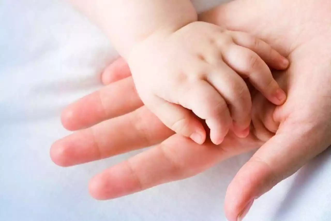 Қағаз жүзінде ашылған мекемелер қашан жұмысын бастайды?